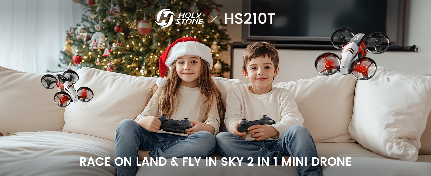 HS210T the unique gift for Christmas.jpg