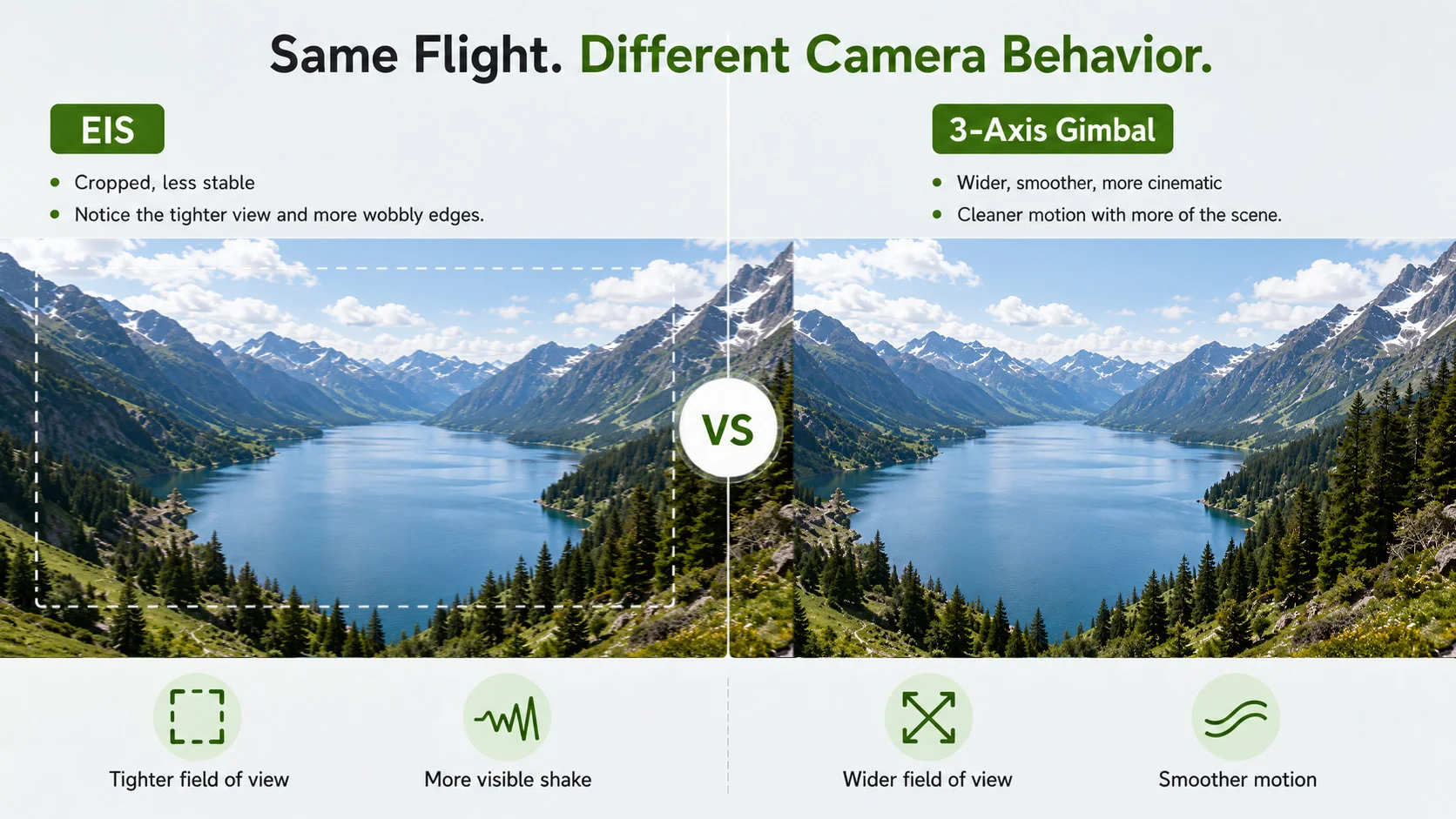 EIS VS Gimbal.webp