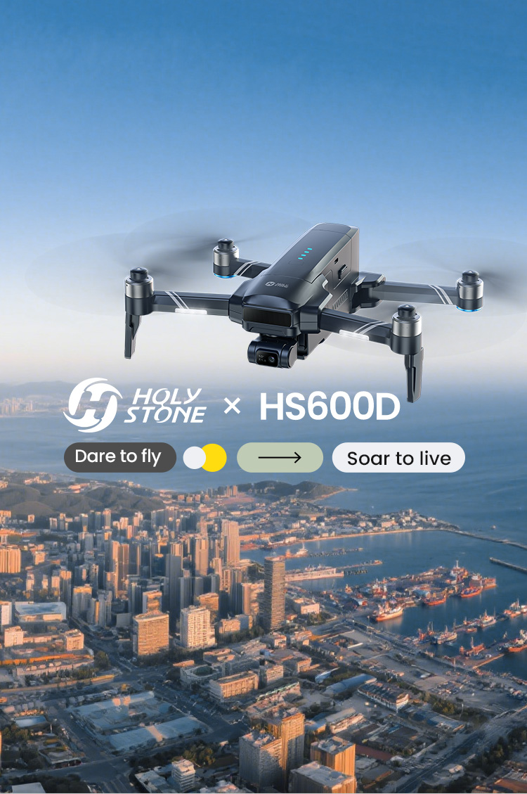 Hermitshell Hard Travel Case For Holy Stone HS210 Mini Drone - Protective Storage Solution